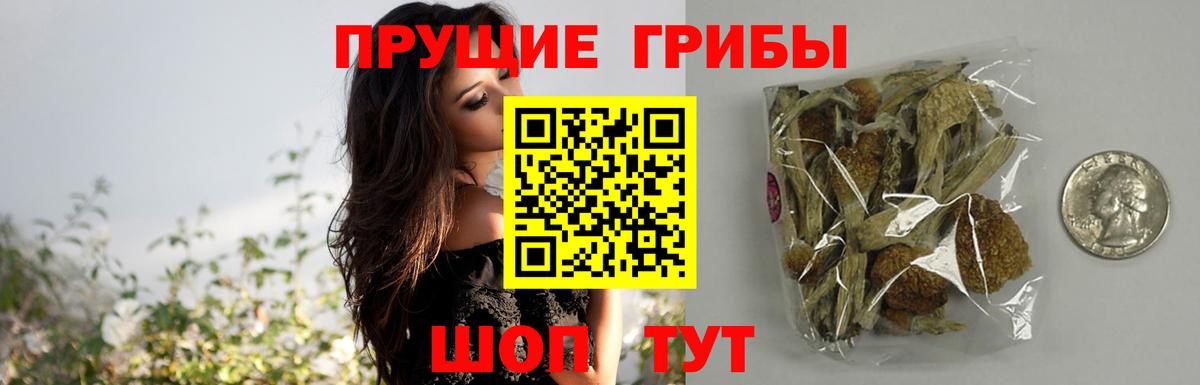 Галлюциногенные грибы Magic Shrooms Россошь